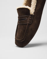 Lise Teddy-Lined Loafer, brown, top view
